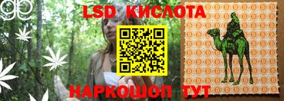 индика Ивантеевка