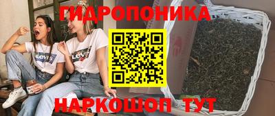 индика Ивантеевка