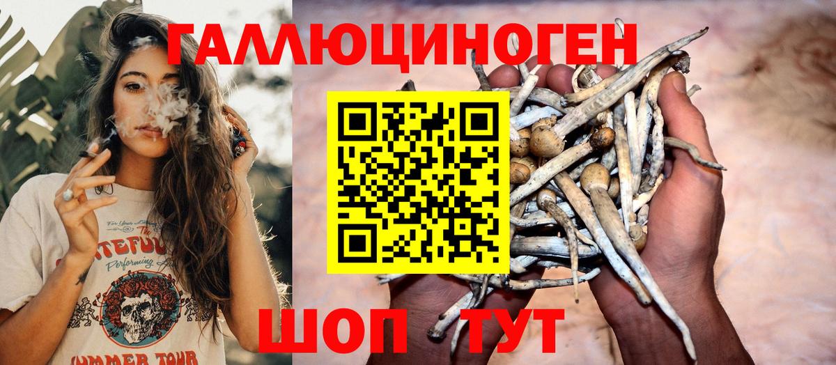 Псилоцибиновые грибы GOLDEN TEACHER Братск