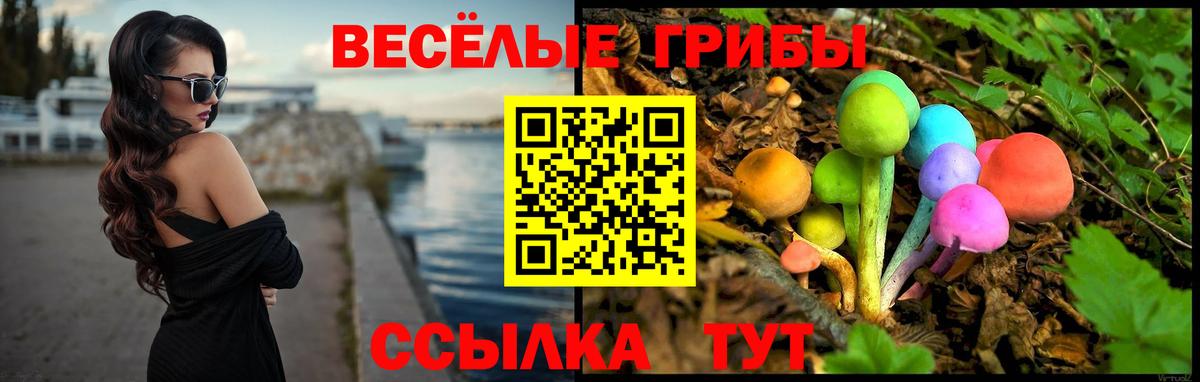 Галлюциногенные грибы Magic Shrooms  Вход с VPN  Галлюциногенные грибы MAGIC MUSHROOMS  Братск 